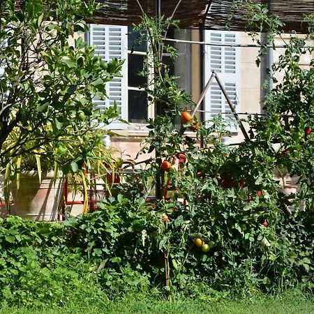 גראס Les Passiflores מראה חיצוני תמונה