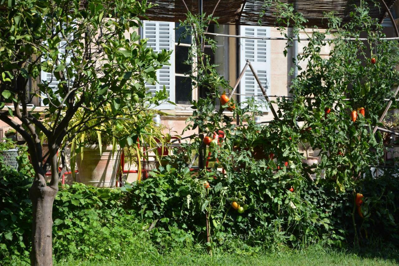 גראס Les Passiflores מראה חיצוני תמונה