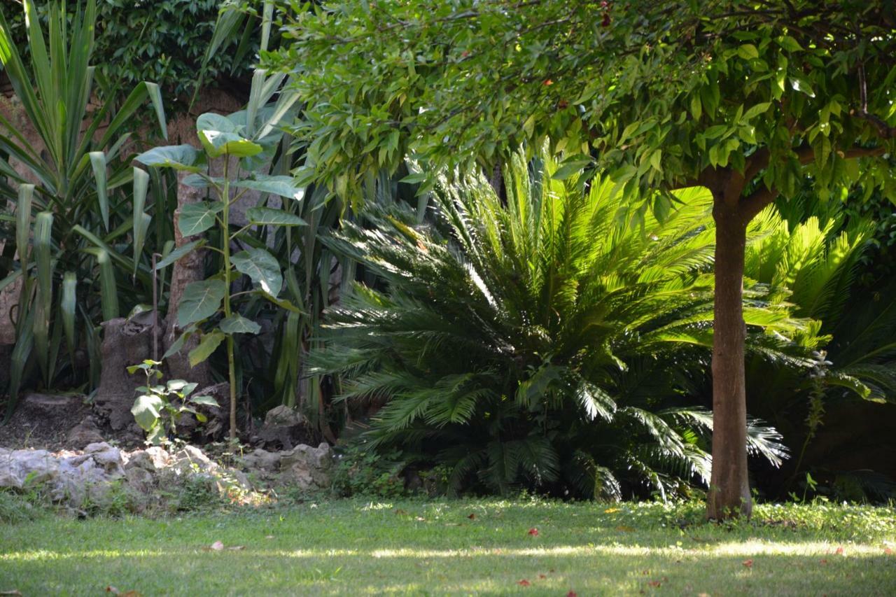 גראס Les Passiflores מראה חיצוני תמונה
